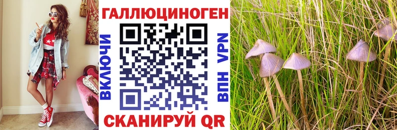 Галлюциногенные грибы Psilocybine cubensis  кракен маркетплейс  Волоколамск  цены  